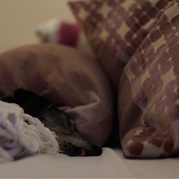 "You Can Git It"
๐ค๐พโค๏ธ๐ธ - Picture 4 of 8